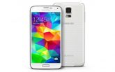 S5 Android 4.3 2 Chips Tela 4.5 - BRANCO